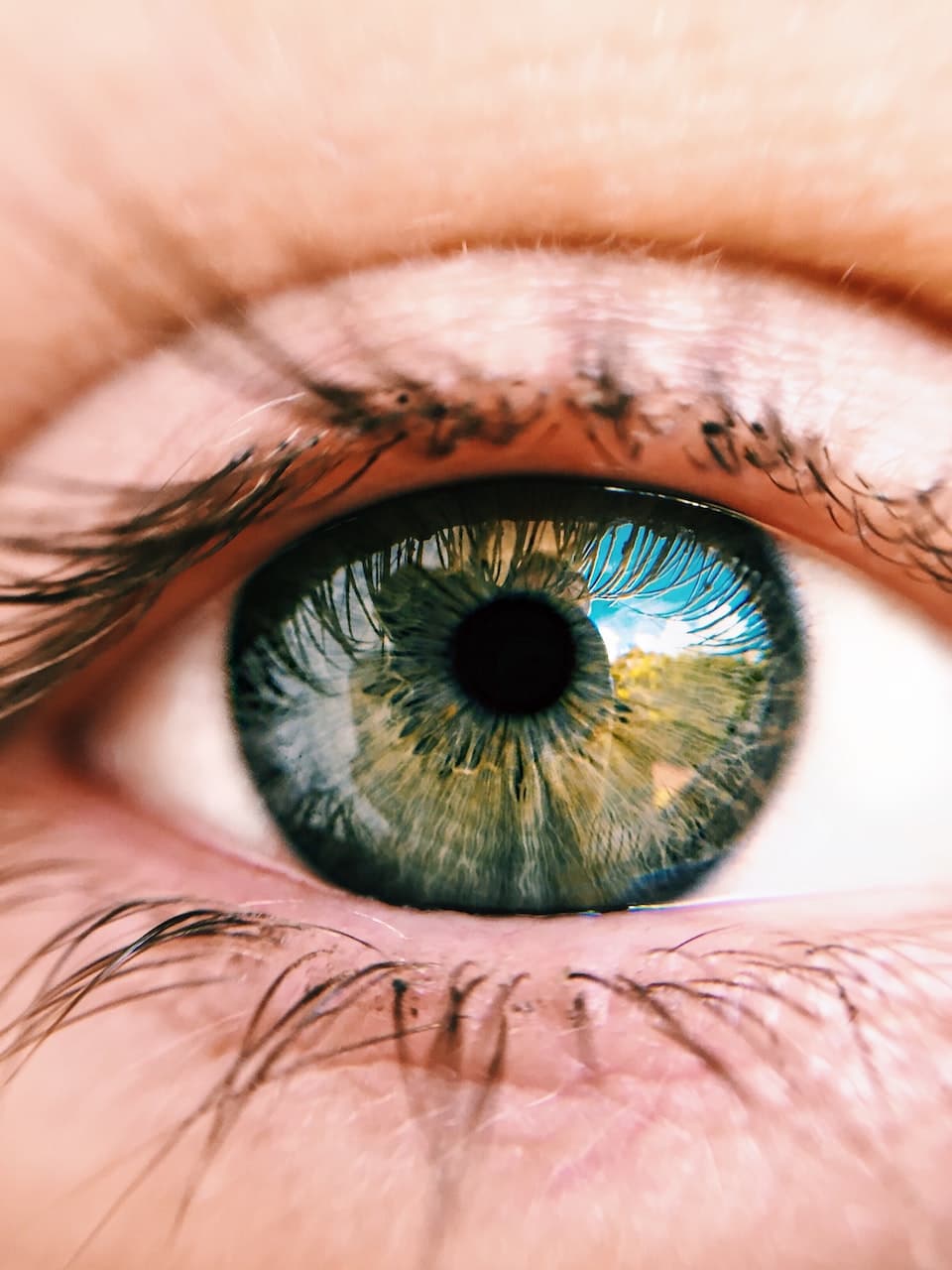 Eye exam at Focus Optical